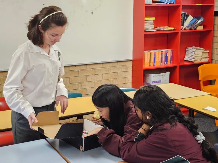 Students extend their problem solving abilities and get prizes in The Cognitive Thinking Club