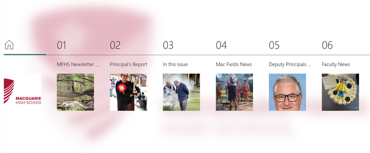 Screenshot showing the sections of the newsletter in chapter format